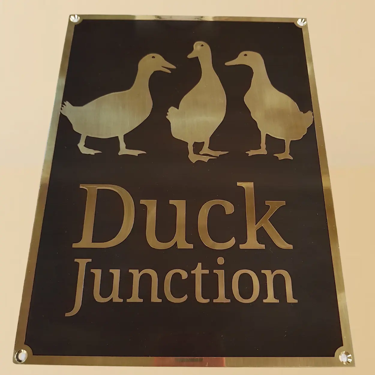 Brass Plaque 1